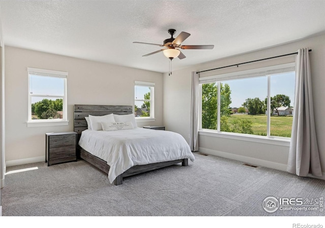5547 Drake Way, Frederick, CO 80504 - photo 18