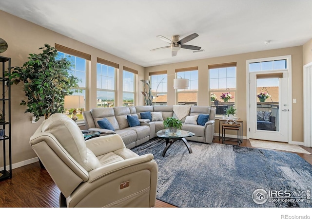 13598 Via Varra Unit 412, Broomfield, CO 80020 - living room with a ceiling fan, plenty of natural light, and wood finished floors