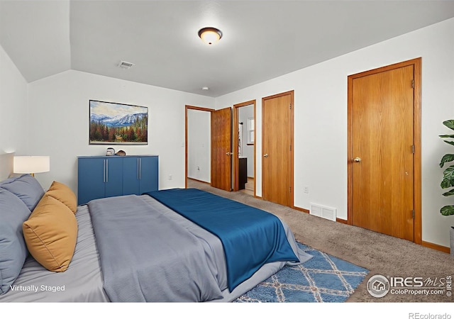 3233 Baldwin Ave, Evans, CO 80620 - carpeted bedroom featuring lofted ceiling and baseboards