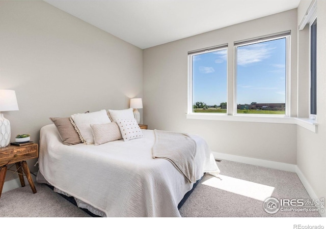 5584 Cottontail Dr, Longmont, CO 80503 - photo 26