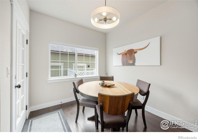 4846 Northern Lights Dr Unit B, Fort Collins, CO 80528 - photo 12