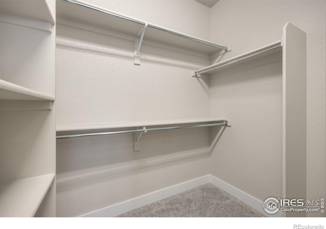 4846 Northern Lights Dr Unit B, Fort Collins, CO 80528 - photo 17
