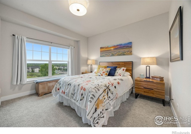 4846 Northern Lights Dr Unit B, Fort Collins, CO 80528 - photo 22