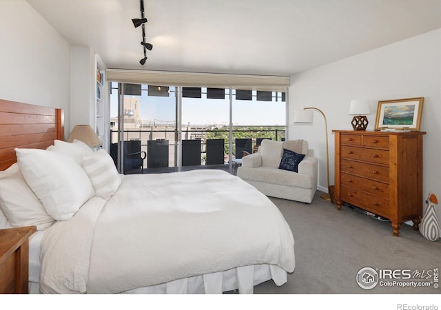 790 N Washington St Unit 1210, Denver, CO 80203 - photo 16