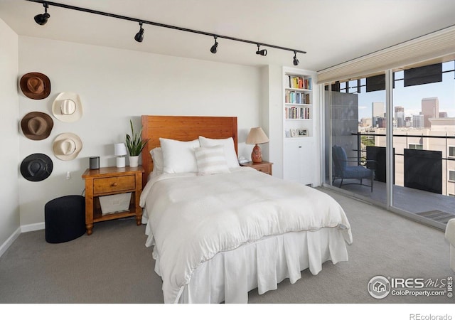 790 N Washington St Unit 1210, Denver, CO 80203 - photo 14