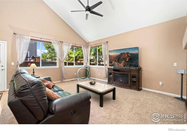 3774 Brunner Blvd, Johnstown, CO 80534 - photo 4