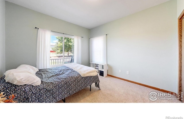 36524 County Road 41, Eaton, CO 80615 - photo 16