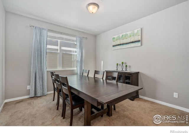5176 Chantry Dr, Windsor, CO 80550 - photo 7
