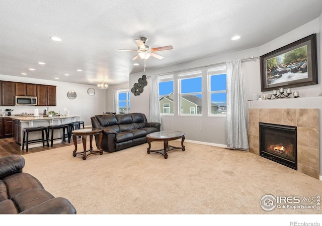 5176 Chantry Dr, Windsor, CO 80550 - photo 9