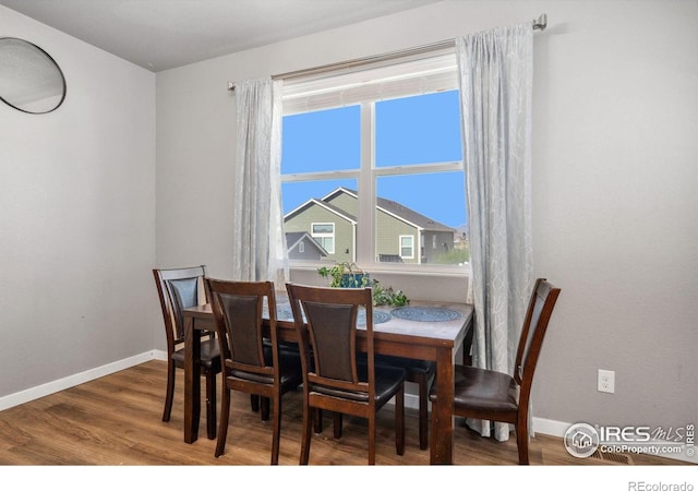 5176 Chantry Dr, Windsor, CO 80550 - photo 14