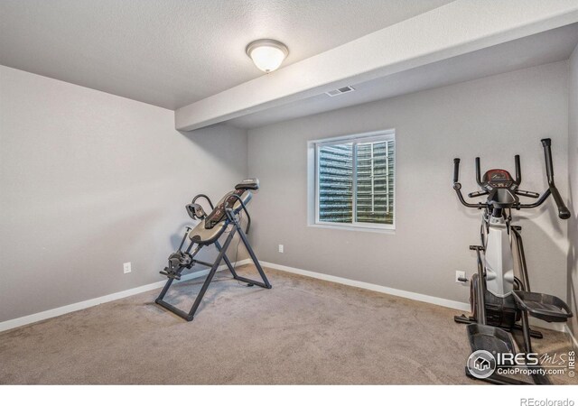 5176 Chantry Dr, Windsor, CO 80550 - photo 26