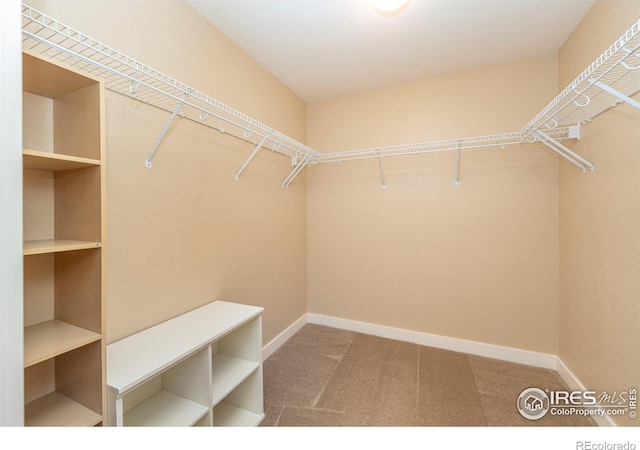 5060 Pierre St Unit E, Boulder, CO 80304 - spacious closet featuring carpet floors