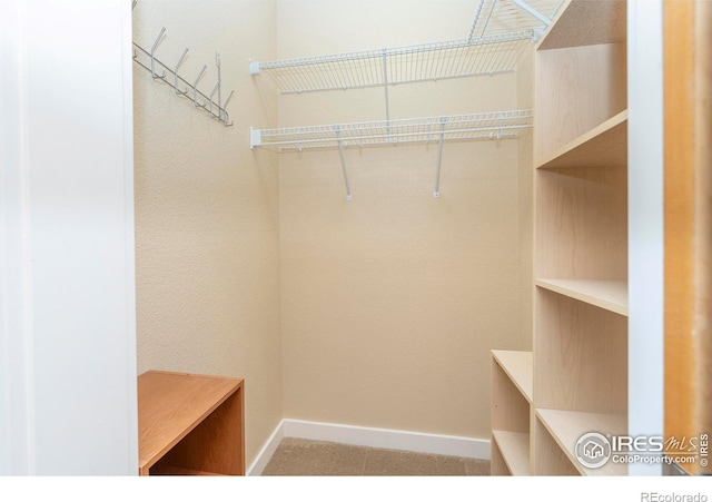 5060 Pierre St Unit E, Boulder, CO 80304 - view of walk in closet