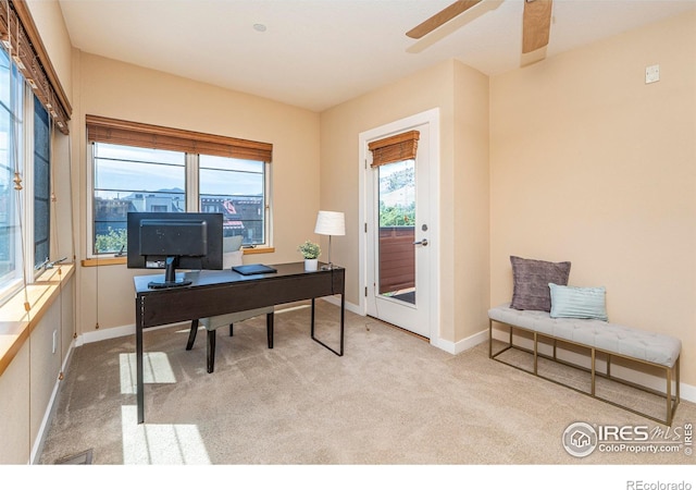 5060 Pierre St Unit E, Boulder, CO 80304 - office with carpet flooring and ceiling fan