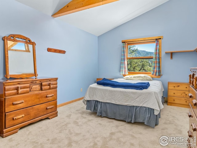 551 Miller Fork Rd, Glen Haven, CO 80532 - photo 7