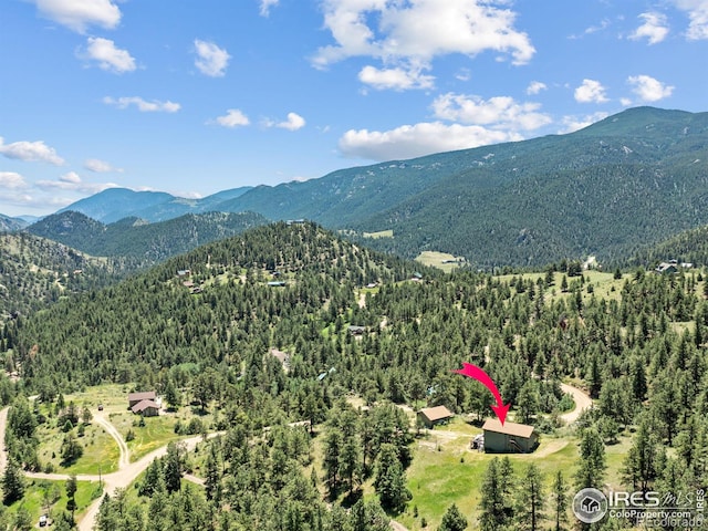 551 Miller Fork Rd, Glen Haven, CO 80532 - photo 11