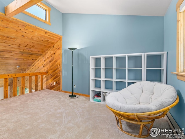 551 Miller Fork Rd, Glen Haven, CO 80532 - photo 26