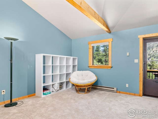 551 Miller Fork Rd, Glen Haven, CO 80532 - photo 27