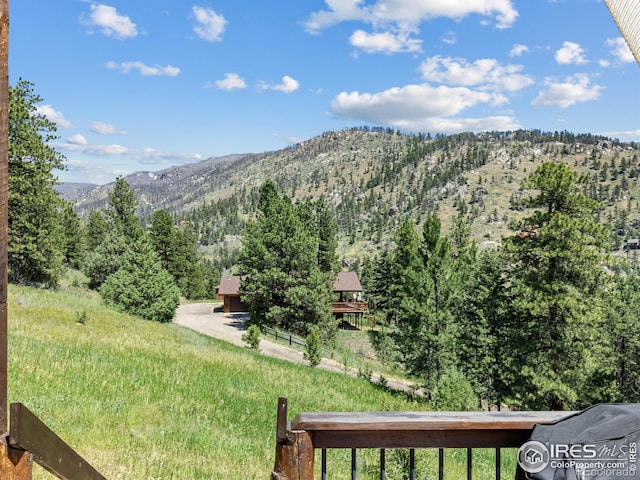 551 Miller Fork Rd, Glen Haven, CO 80532 - photo 31