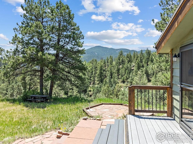 551 Miller Fork Rd, Glen Haven, CO 80532 - photo 32