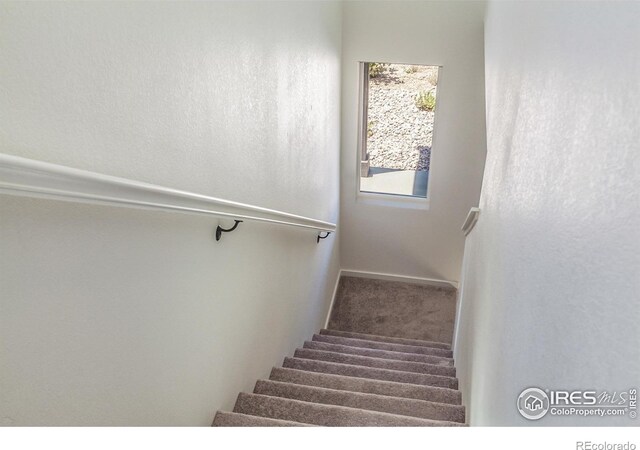 3111 Conquest St, Fort Collins, CO 80524 - photo 16