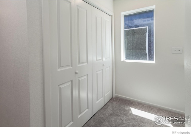 3111 Conquest St, Fort Collins, CO 80524 - photo 23