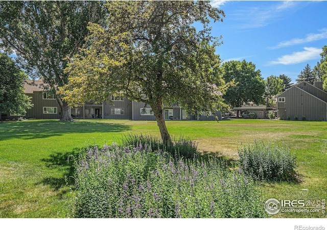 705 E Drake Rd Unit 45, Fort Collins, CO 80525 - view of green lawn