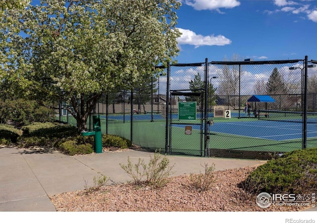 1485 Stoneham St, Superior, CO 80027 - photo 29