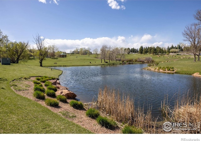 1485 Stoneham St, Superior, CO 80027 - photo 30