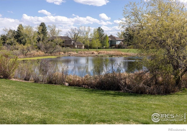 1485 Stoneham St, Superior, CO 80027 - photo 33