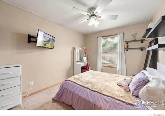 3891 Jefferson Dr, Loveland, CO 80538 - photo 17