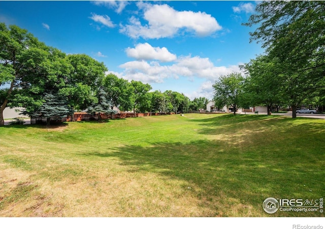 3891 Jefferson Dr, Loveland, CO 80538 - photo 30