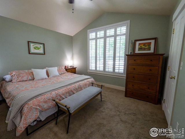 4085 Buffalo Mountain Dr, Loveland, CO 80538 - photo 4