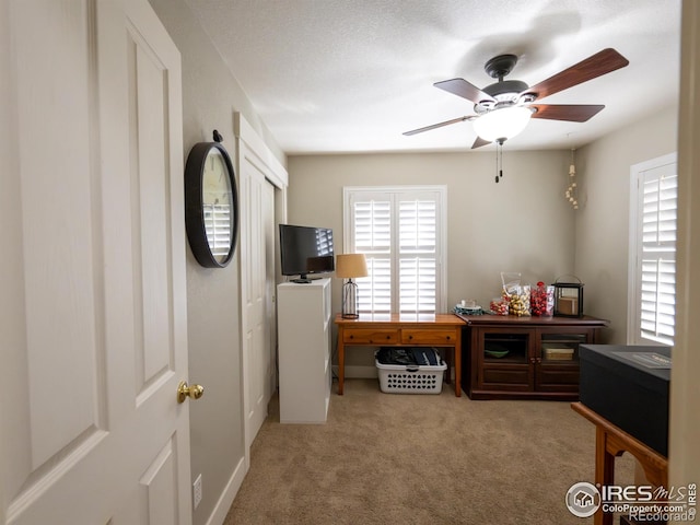 4085 Buffalo Mountain Dr, Loveland, CO 80538 - photo 12