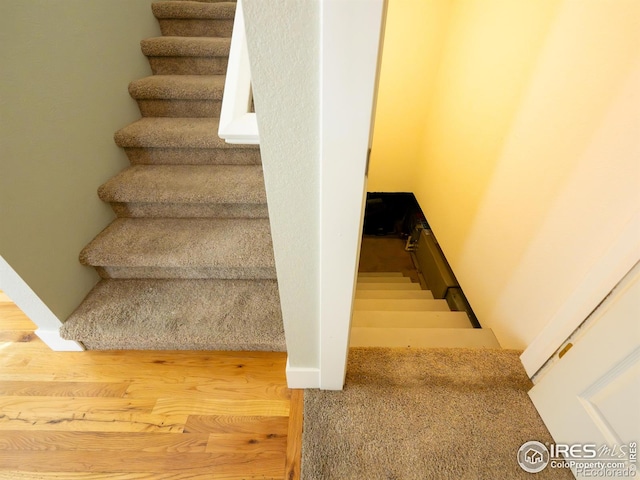 4085 Buffalo Mountain Dr, Loveland, CO 80538 - photo 14