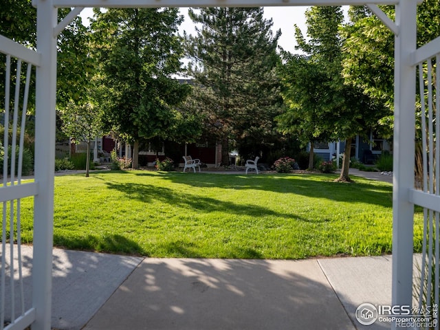 4085 Buffalo Mountain Dr, Loveland, CO 80538 - photo 26