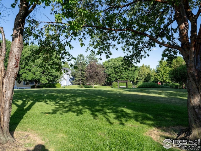 4085 Buffalo Mountain Dr, Loveland, CO 80538 - photo 31
