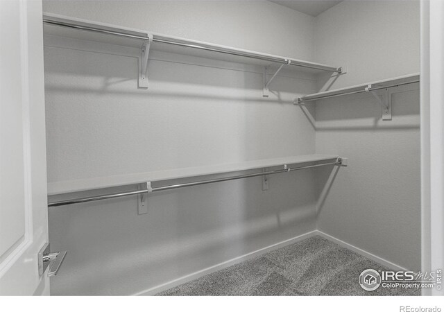 2120 Falling Leaf Dr Unit 8, Windsor, CO 80550 - photo 24