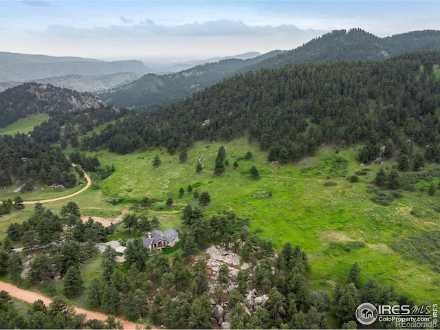 95 Rowell Dr, Lyons, CO 80540 - photo 8