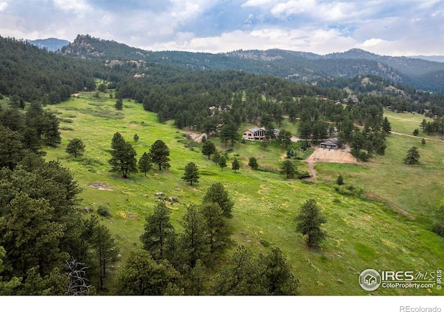 95 Rowell Dr, Lyons, CO 80540 - photo 10