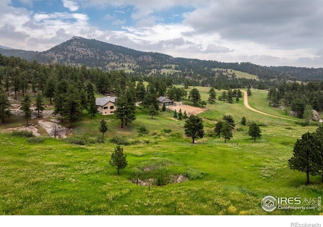 95 Rowell Dr, Lyons, CO 80540 - photo 11