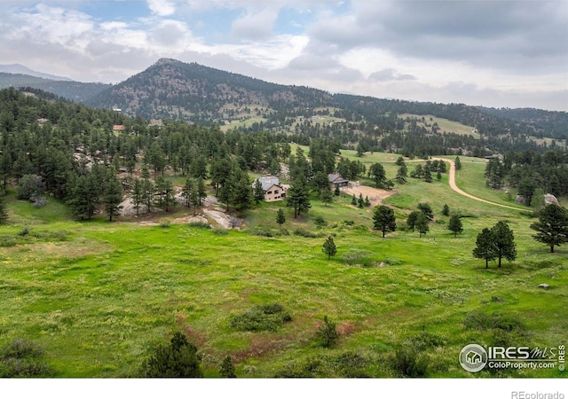 95 Rowell Dr, Lyons, CO 80540 - photo 26
