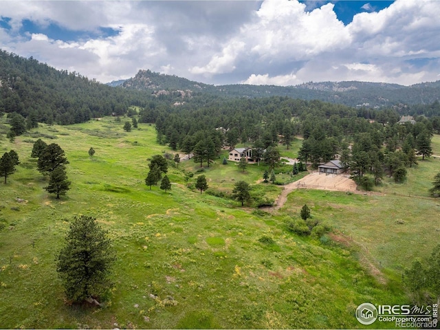 95 Rowell Dr, Lyons, CO 80540 - photo 27