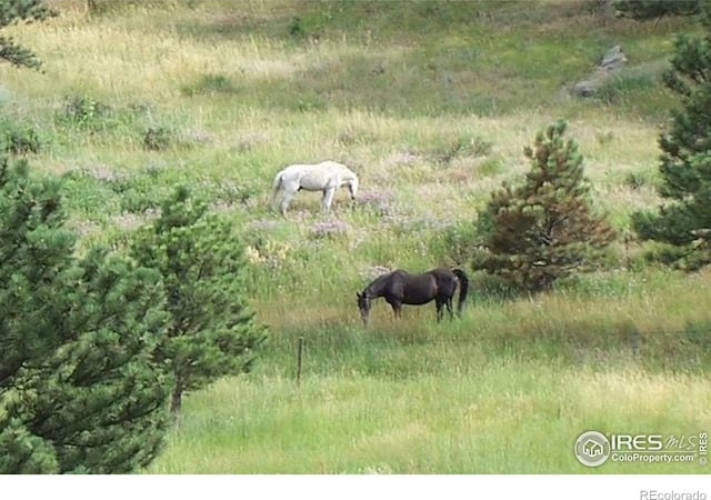 95 Rowell Dr, Lyons, CO 80540 - photo 29