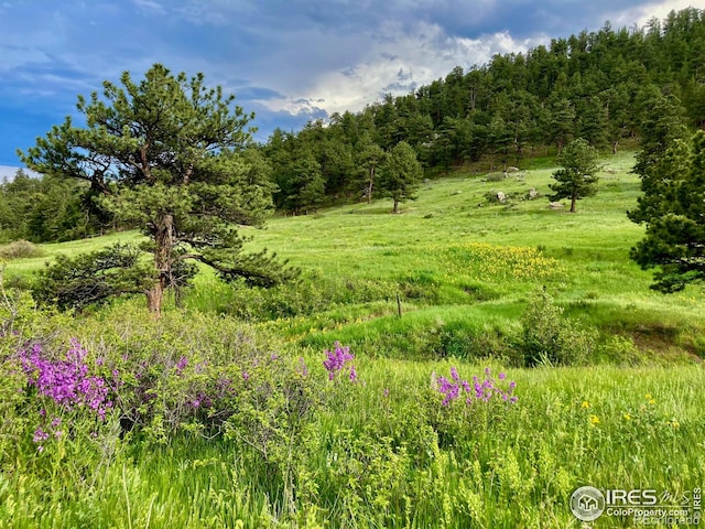95 Rowell Dr, Lyons, CO 80540 - photo 9