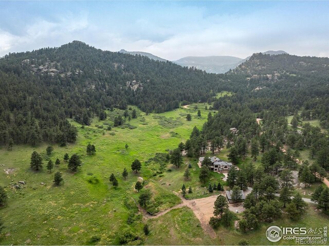 95 Rowell Dr, Lyons, CO 80540 - photo 25