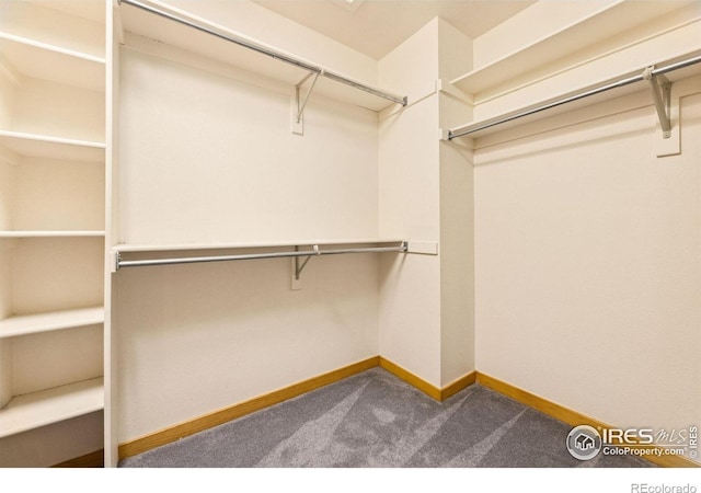 3686 Oakwood Dr, Longmont, CO 80503 - walk in closet featuring dark colored carpet