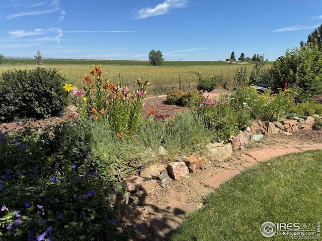 11895 Oxford Rd, Longmont, CO 80504 - photo 32