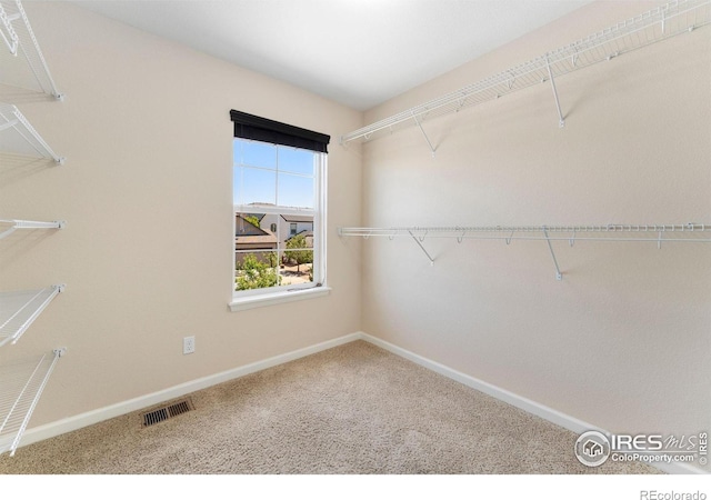 5049 S Ukraine St, Aurora, CO 80015 - spacious closet with carpet