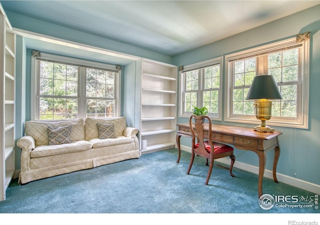 4471 Wellington Rd, Boulder, CO 80301 - home office featuring carpet flooring and healthy amount of natural light